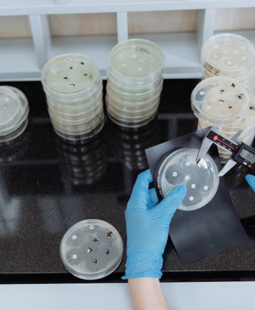 Antibiyotik Direnci Turkiye8217yi de Kapsayan Yillik 42 Bin Can Kaybi featured