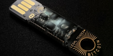 Istanbul8217un Sokak Kedileri Icin Dijital Guvenlik Agi Devrede featured