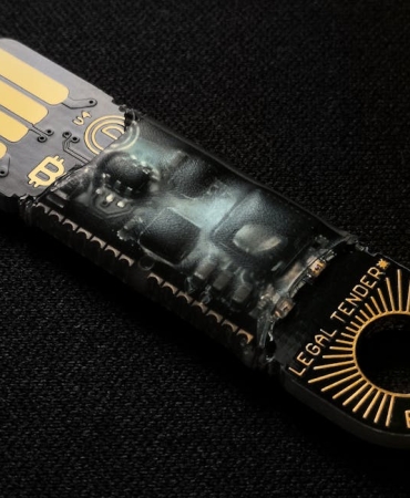 Istanbul8217un Sokak Kedileri Icin Dijital Guvenlik Agi Devrede featured