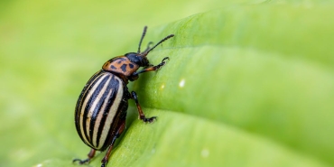 Antibiyotik Direnci Kuresel Alarm Veriyor Yilda 1.5 Milyon Can Kaybi Tehdidi featured