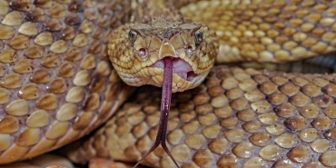 Kurtulmus8217tan Siyasete Nezaket Cagrisi 8220Zehirli Dil Terk Edilmeli8221 featured